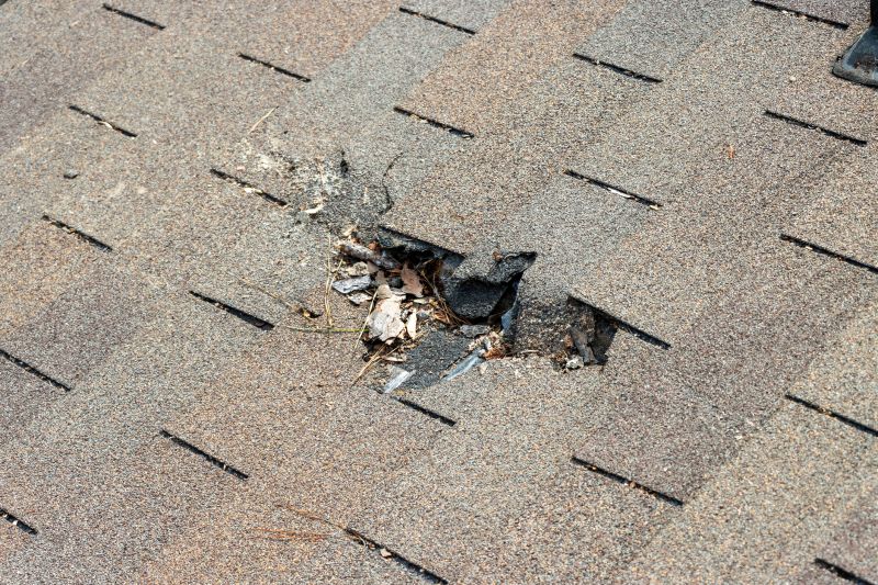 Damaged Roof Replacement detail