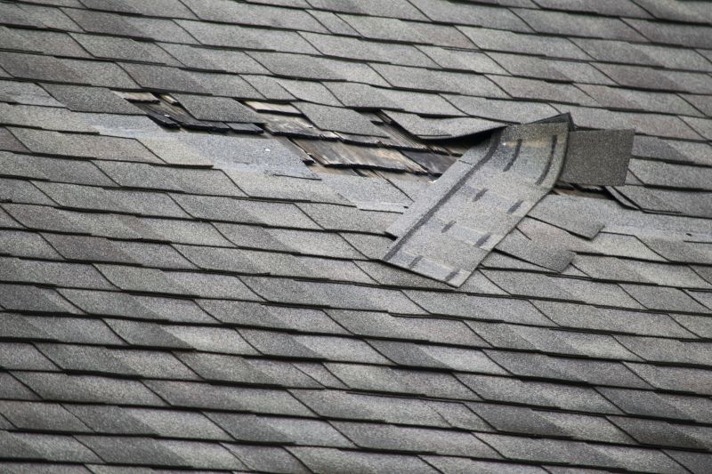 Roof Repair in Daytona Beach